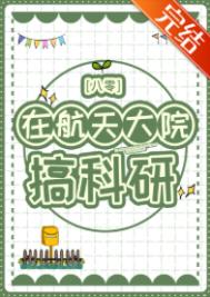在航天大院搞科研[八零]