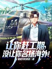 让你赶工期,没让你名扬海外!