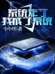 系统炸了，我成了系统