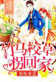 竹马校草拐回家