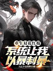 重生双花红棍,系统让我以暴制暴