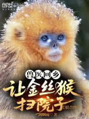 兽医回乡：让金丝猴扫院子很合理