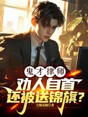 鬼才律师:劝人自首还被送锦旗?