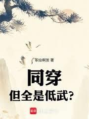 同穿,但全是低武?