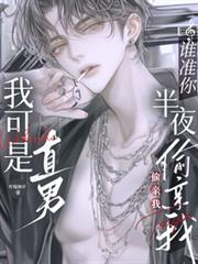 我可是直男！谁准你半夜偷亲我？