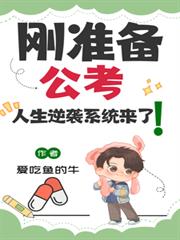 刚准备公考,人生逆袭系统来了!