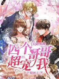 天降男神:四个哥哥超宠我