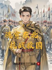 魂穿东北，抗战救国