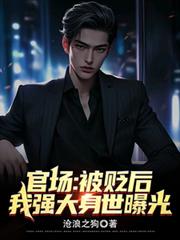 官场:被贬后,我强大身世曝光