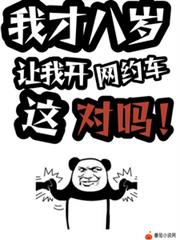 我才八岁，让我开网约车这对吗！